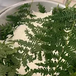 Helga's Agricampeggio مكان تخييم *