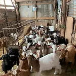 Helga's Agricampeggio * Seùlo
