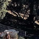 Helga's Agricampeggio مكان تخييم Seùlo