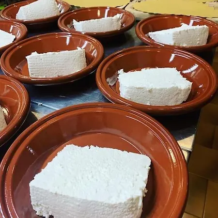 Кемпинг Helga's Agricampeggio Seulo