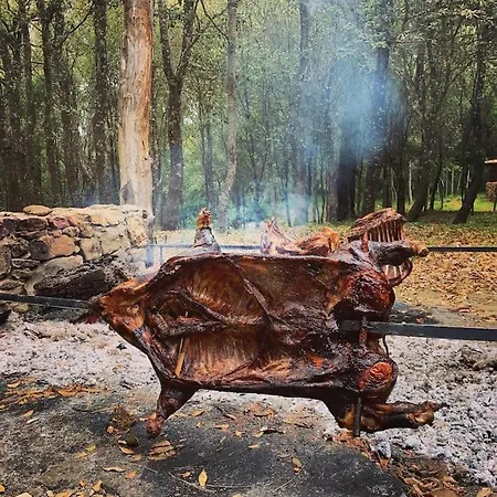 Helga's Agricampeggio Seùlo