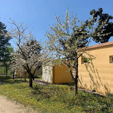 Helga's Agricampeggio