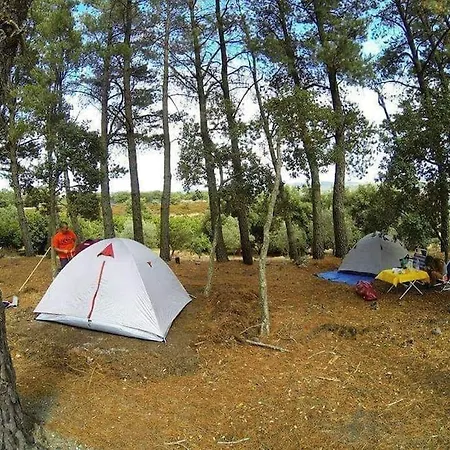 Кемпинг Helga's Agricampeggio Seulo