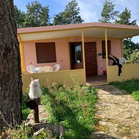 キャンプ場 Helga's Agricampeggio