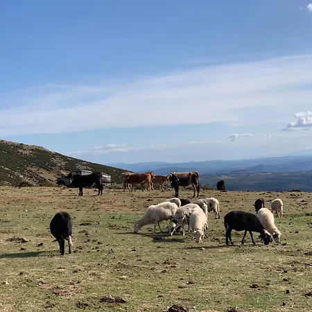 Кемпинг Helga's Agricampeggio *