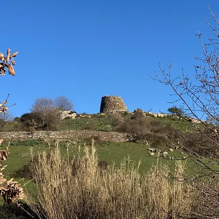 Helga's Agricampeggio