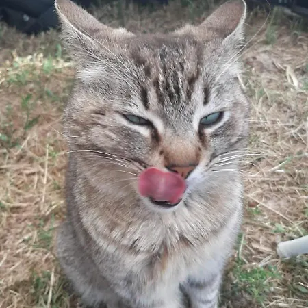 Helga's Agricampeggio Кемпинг *