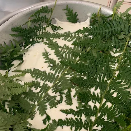 Helga's Agricampeggio Кемпинг *