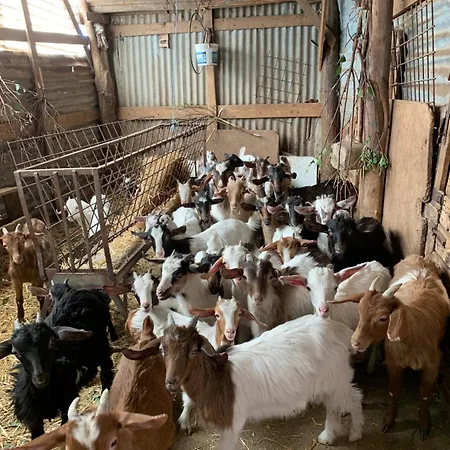 Helga's Agricampeggio * Seùlo