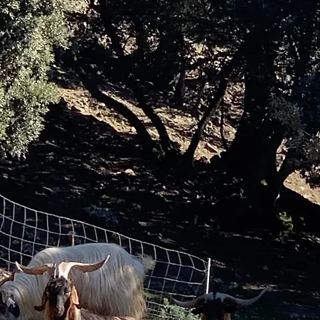 Helga's Agricampeggio Кемпинг Seulo