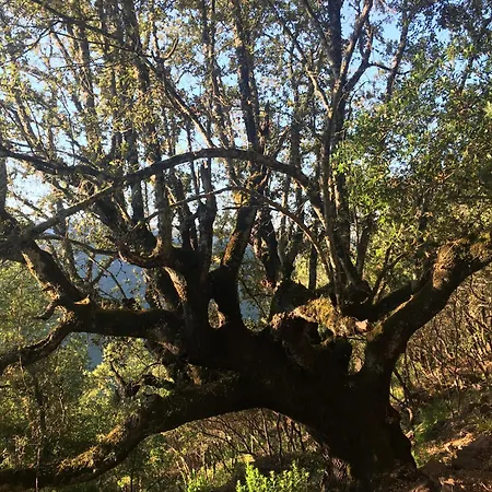 Кемпинг Helga's Agricampeggio Seulo