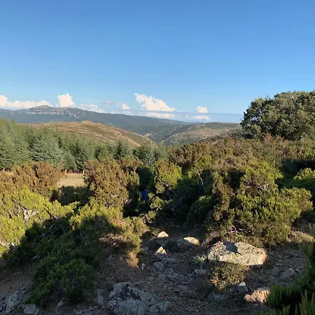 キャンプ場 Helga's Agricampeggio