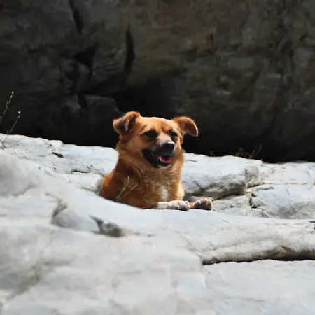 Helga's Agricampeggio Seulo