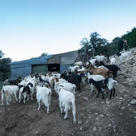 Helga's Agricampeggio Seùlo