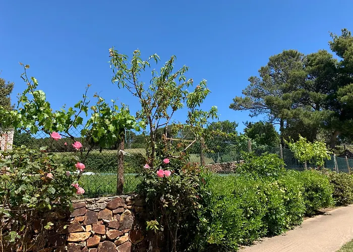 Κάμπινγκ Helga's Agricampeggio *